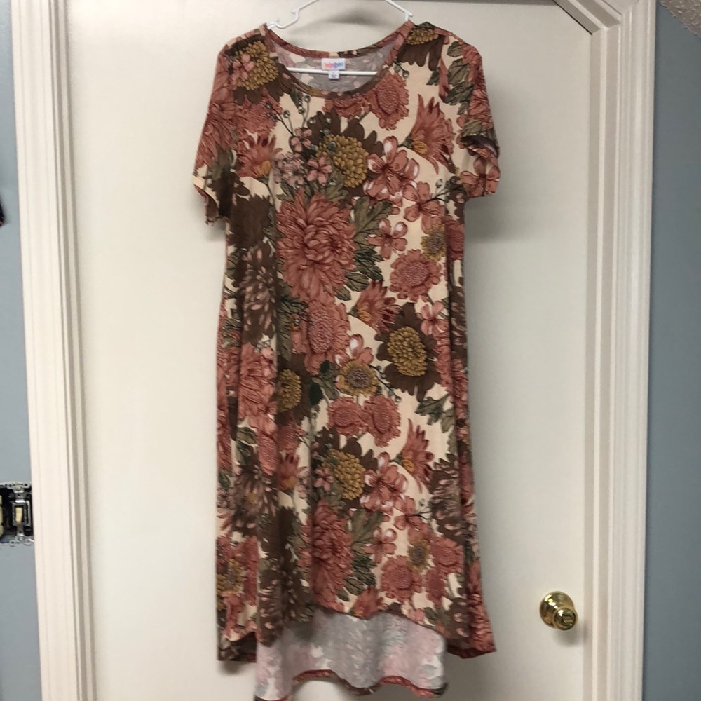 Large lularoe Carly